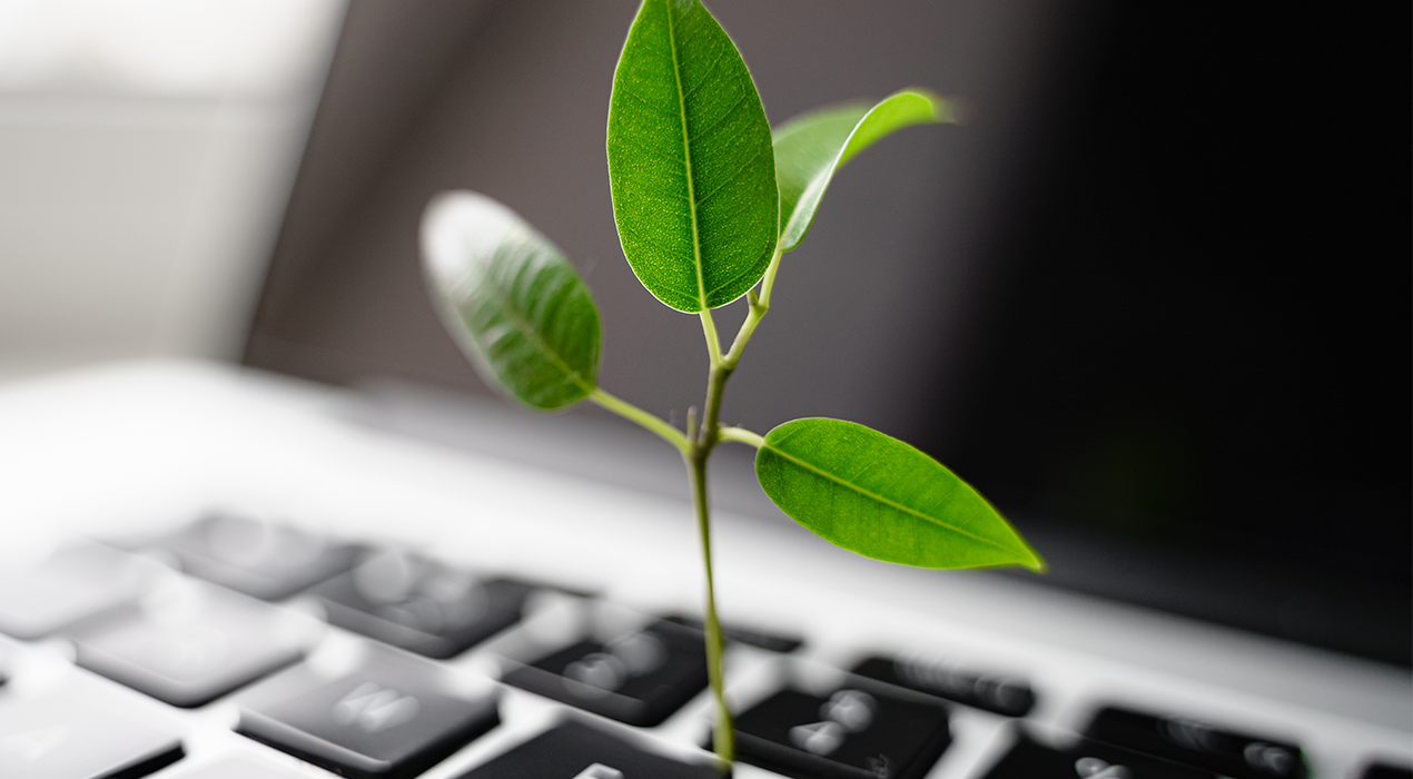 Tecnologia e Sustentabilidade andam juntas